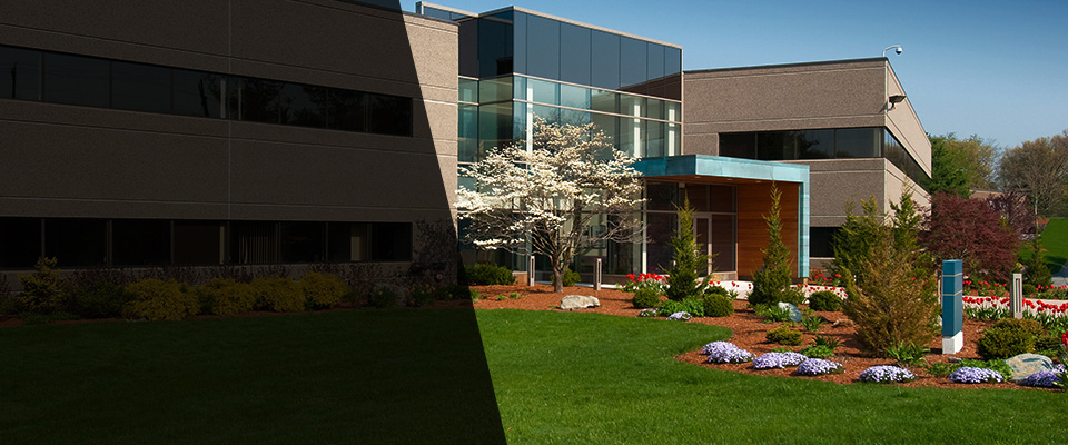 Feasterville Trevose Landscapers