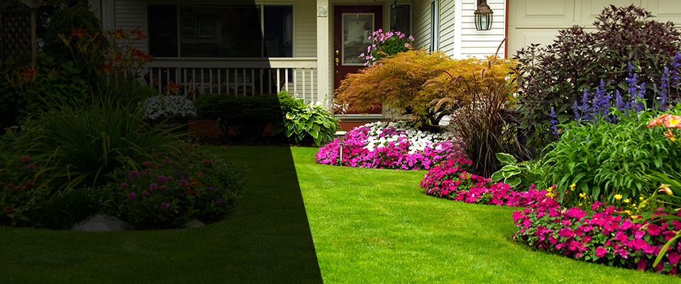 Feasterville Trevose Landscapers