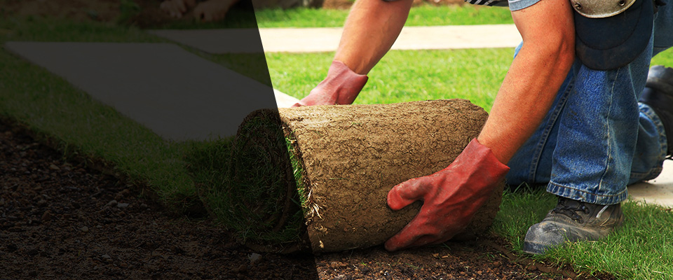 Feasterville Trevose Landscapers